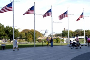 WM-CD-Flags   