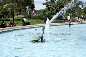 Turtle-Spray 